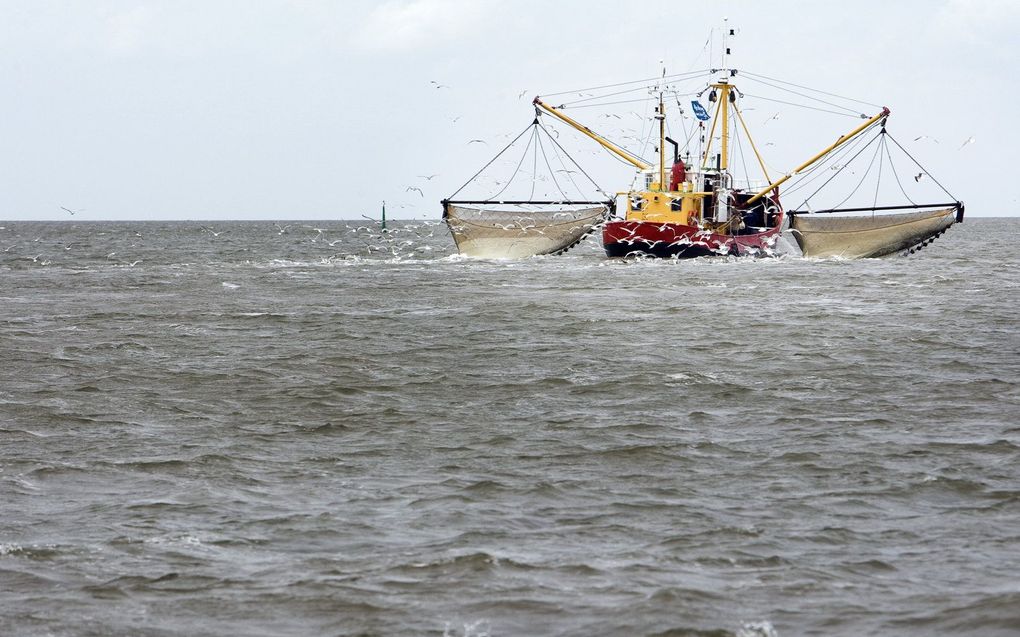 Garnalenkotter op de Waddenzee. beeld ANP, Lex van Lieshout