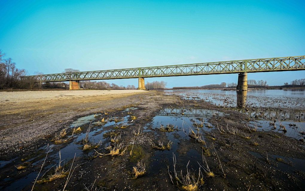 De rivier de Po bij de Ponte della Becca in Linarolo. beeld AFP, Piero Cruciatti