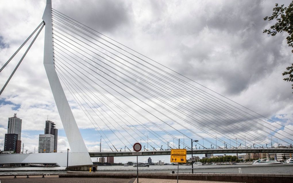 De Erasmusbrug in Rotterdam. Beeld Henk Visscher