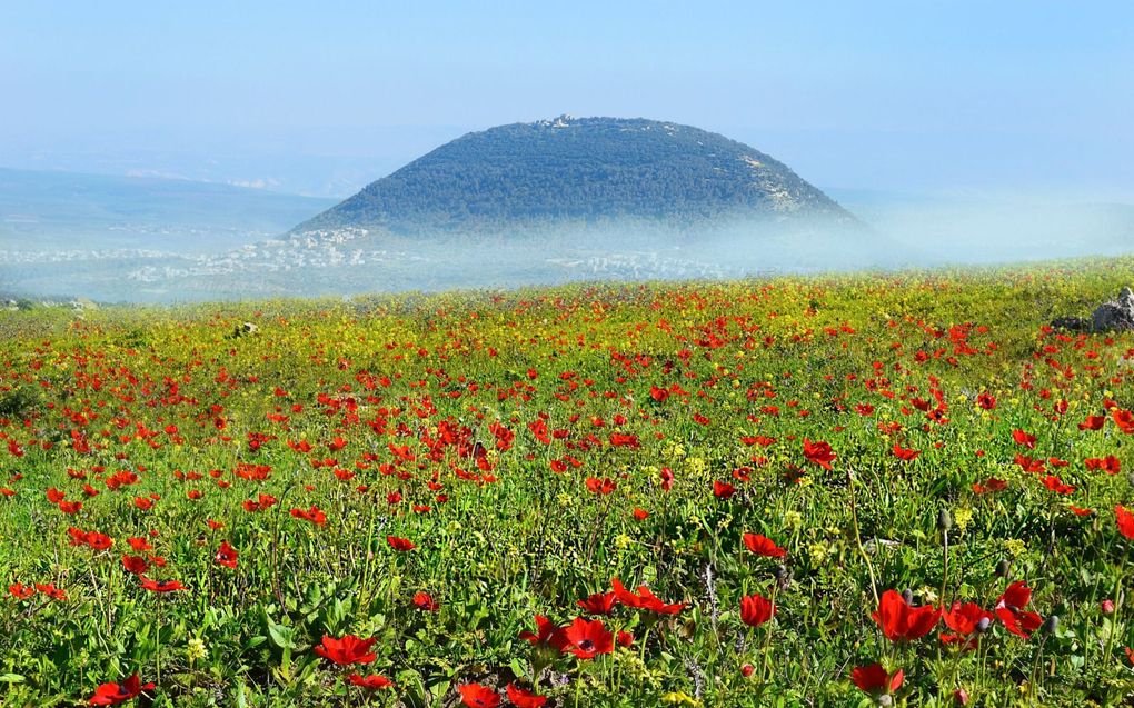 Op de ”berg der verheerlijking” (vermoedelijk de Thabor) ontmoet de Zaligmaker twee personen uit de oudtestamentische bedeling: Mozes en Elia. beeld iStock