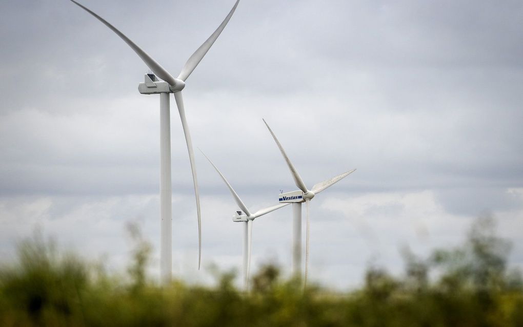 Windturbines in Zeewolde. beeld ANP, KOEN VAN WEEL