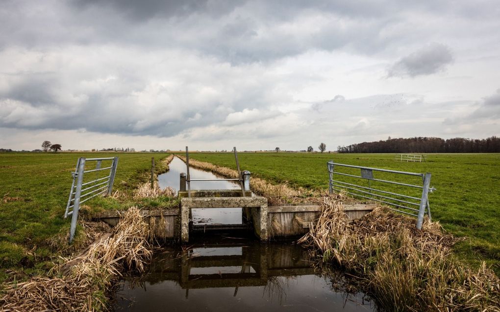 „Integraal waterbeheer heeft ook een onmisbare politieke dimensie.” Foto: sluisje waarmee het waterschap de stand van het grondwater kan reguleren. beeld ANP, Jeffrey Groeneweg