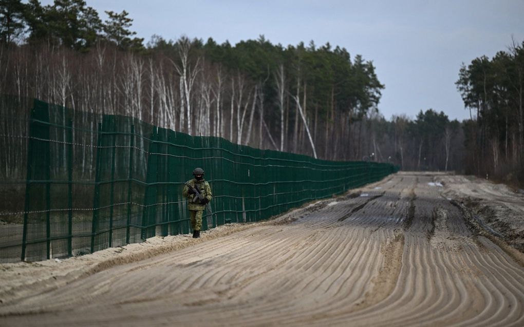 De grens tussen Oekraine en Belarus. beeld AFP, Natalia KOLESNIKOVA