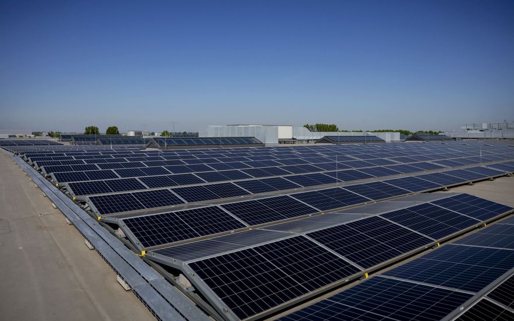 „Van alle groene stroom die we in 2030 willen opwekken, kan 14 procent worden behaald door bedrijfsdaken vol te leggen met zonnepanelen.” beeld ANP, Robin van Lonkhuijsen