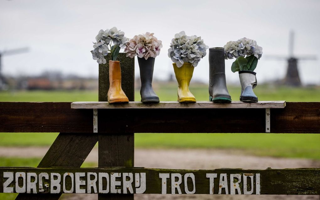 Het toegangshek van zorgboerderij Tro Tardi waar op 6 mei 2022 een dodelijke schietpartij plaatsvond. Het strafproces tegen verdachte John S. ging maandag van start. Hij staat onder meer terecht voor het doodschieten van een medewerkster en een meisje op de boerderij.  beeld ANP, Sem van der Wal