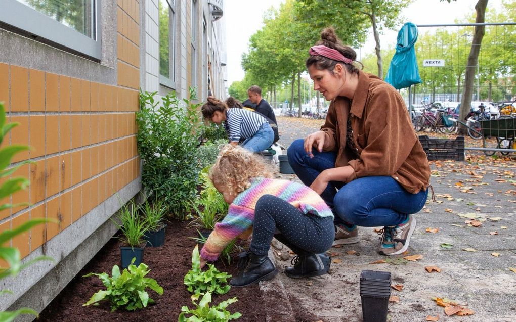 Aanleg langste geveltuin van Nederland. beeld Beeldbank van de Leefomgeving, Sjon Heijenga