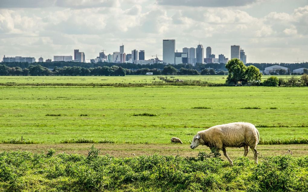 „Ook in een klein land als Nederland kunnen bepaalde regio’s zich achtergesteld voelen. Al in de zeventiende eeuw gaf het gewest Holland de toon aan. De andere gewesten moesten zich schikken." beeld iStock