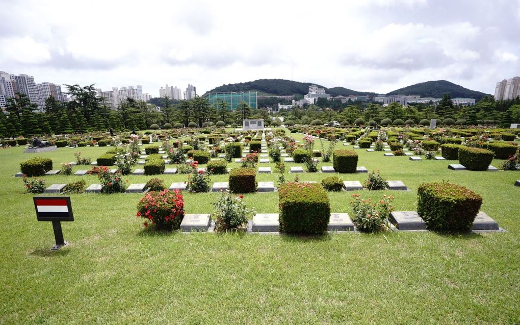 Ereveld met in de Korea-oorlog gesneuvelde Nederlandse militairen, in de Zuid-Koreaanse stad Busan. beeld Penta Press, Seokyong Lee;