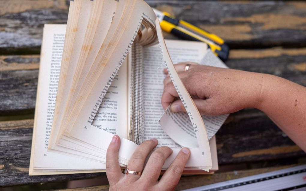 Waar komt het clichébeeld vandaan dat iedereen die analytisch, of wetenschappelijk met literatuur bezig is, eigenlijk niet echt iets met literatuur heeft? beeld Jaco Hoeve