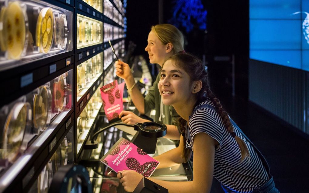 Micropia is er voor alle leeftijden. beeld FloorFoto