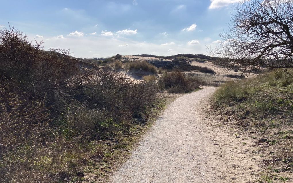 beeld Geertje Bikker-Otten