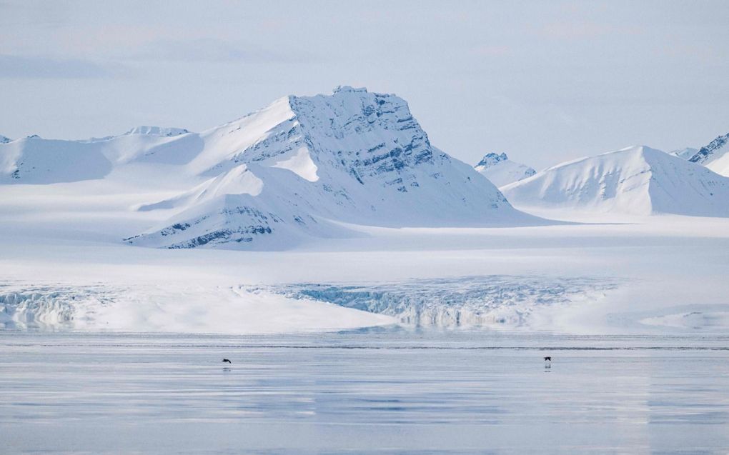 Een gletsjer in Noorwegen. beeld AFP, Jonathan Nackstrand