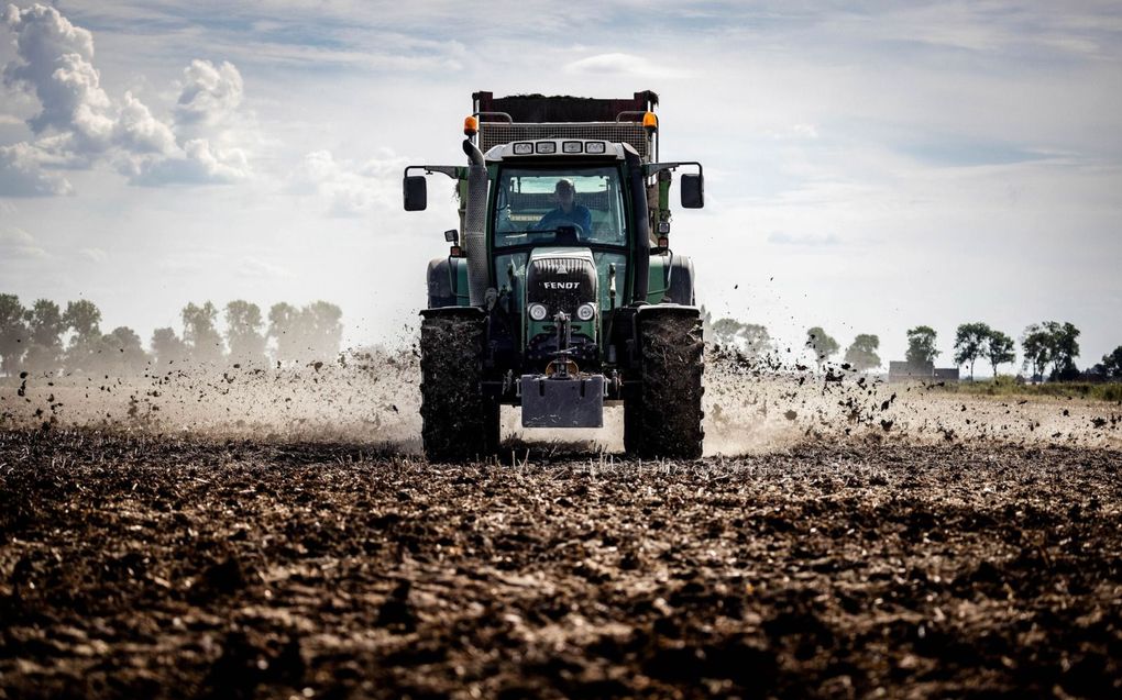 „In de agrosector kan biotechnologie helpen de voedselproductie te verduurzamen.” beeld ANP, Jeffrey Groeneweg