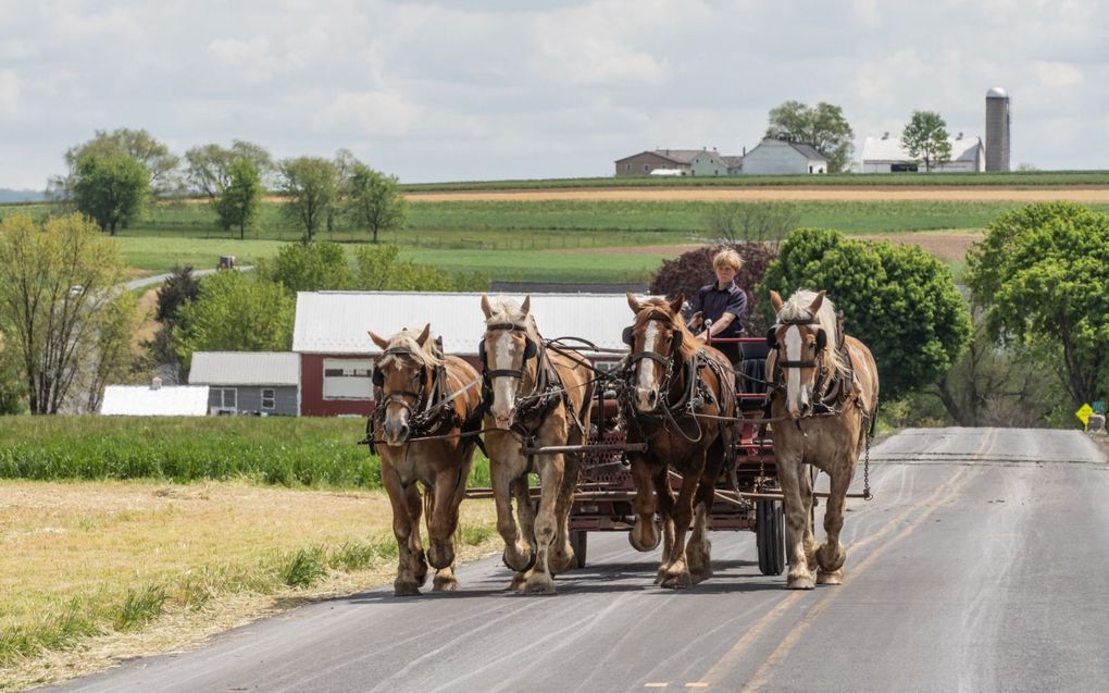 „Angst is een slechte raadgever bij de afwegingen rond AI. Verlangen naar de tijd van fax en paardenkoets helpt de jonge generatie niet, evenmin als techniekpessimisme of misplaatste matigheid.” beeld iStock