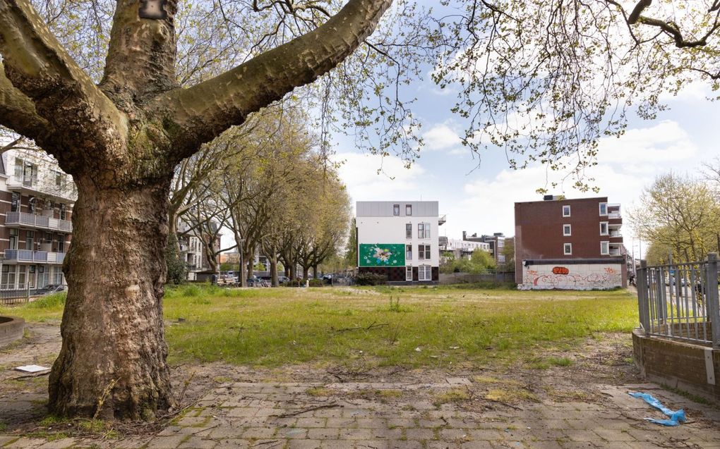 De plek waar tot 1973 de Wilhelminakerk stond, aan de Rotterdamse Oranjeboomstraat, is nu een zandvlakte vol rommel en onkruid. beeld RD, Anton Dommerholt