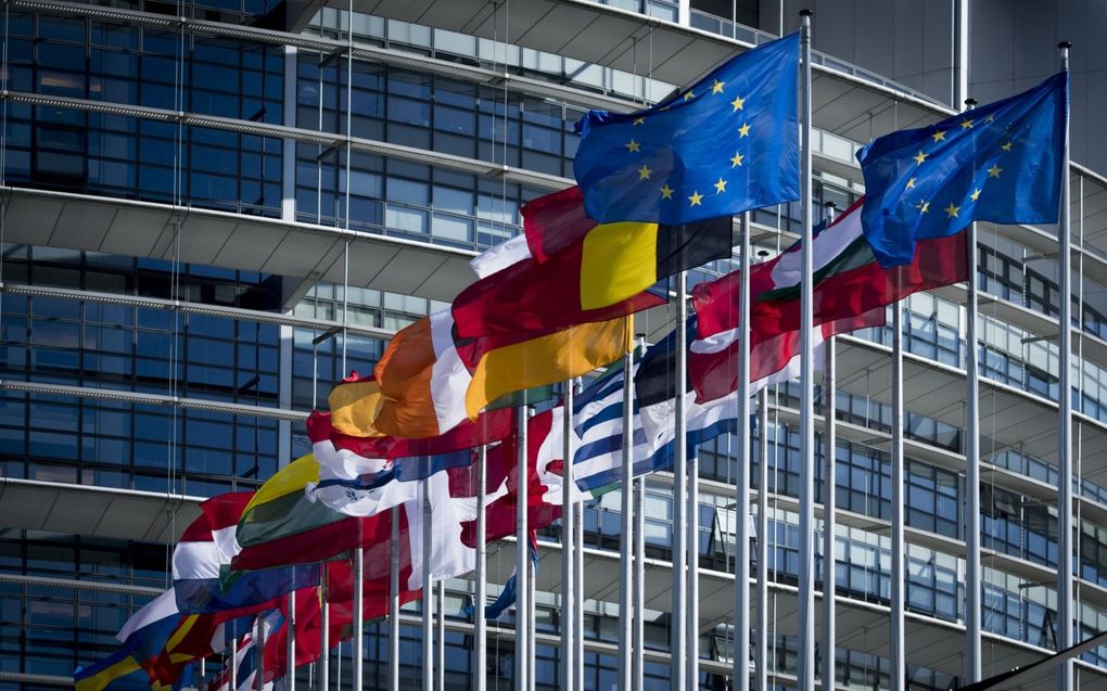 Vlaggen van de Europese landen bij de ingang van het Europees Parlement in Straatsburg. beeld ANP Lex van Lieshout