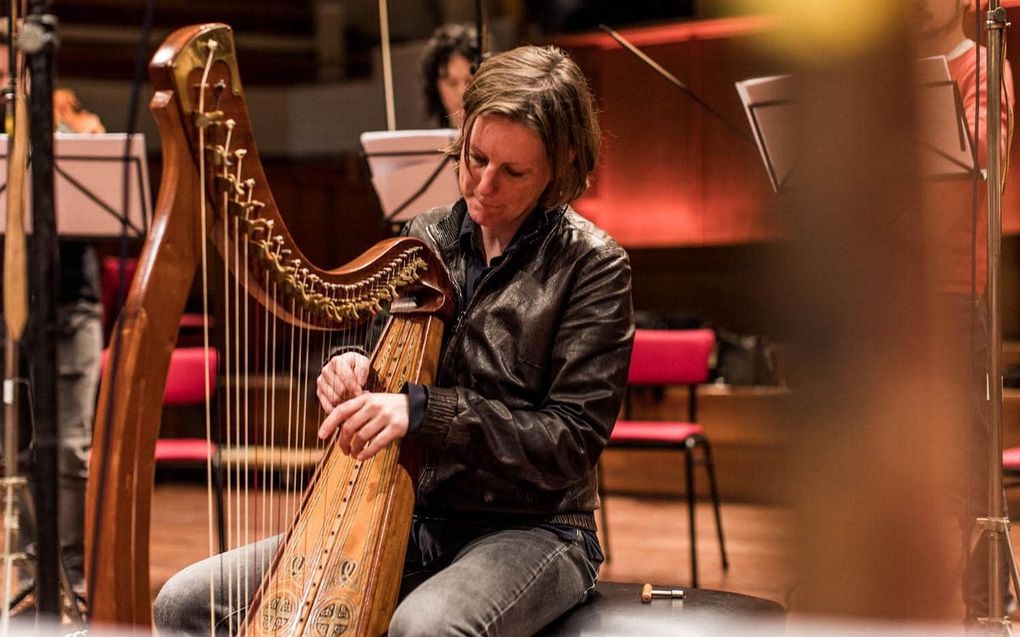 Tineke Steenbrink met haar harp. beeld Tineke Steenbrink