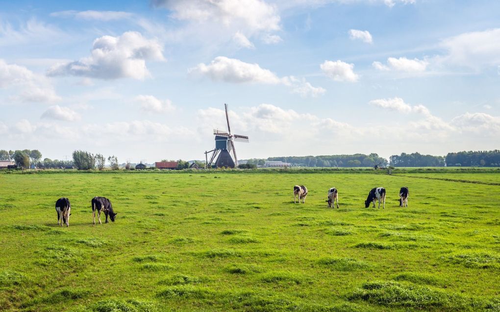 Hollands polderlandschap in de buurt van Bleskensgraaf. beeld iStock