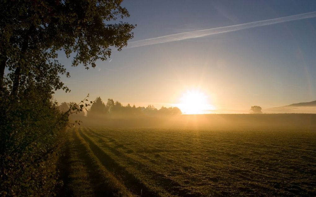 beeld iStock