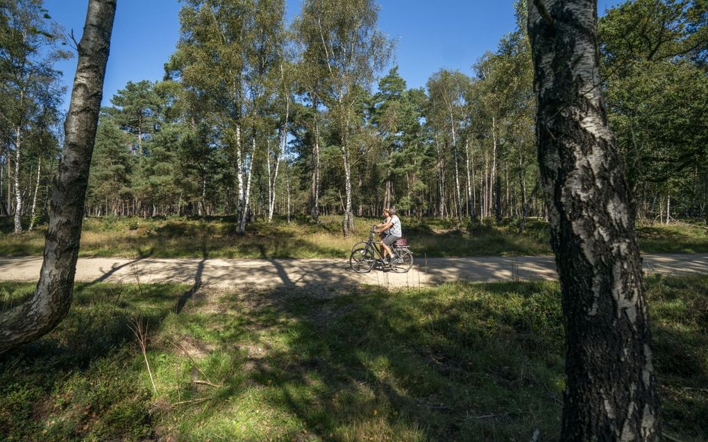 Fietsers op de Veluwe. Het wetsvoorstel van de Europese Commissie verplicht de uitbreiding van bestaande natuurgebieden en verbiedt dat natuur binnen en buiten de al beschermde Natura 2000-gebieden verslechtert. beeld ANP, Jeroen Jumelet