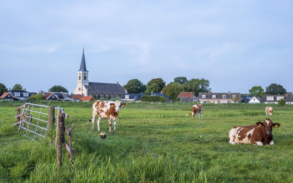 Zo’n anderhalve procent van de Nederlandse landbouwgrond is in handen van protestantse kerken. beeld ANP, Sabine Joosten