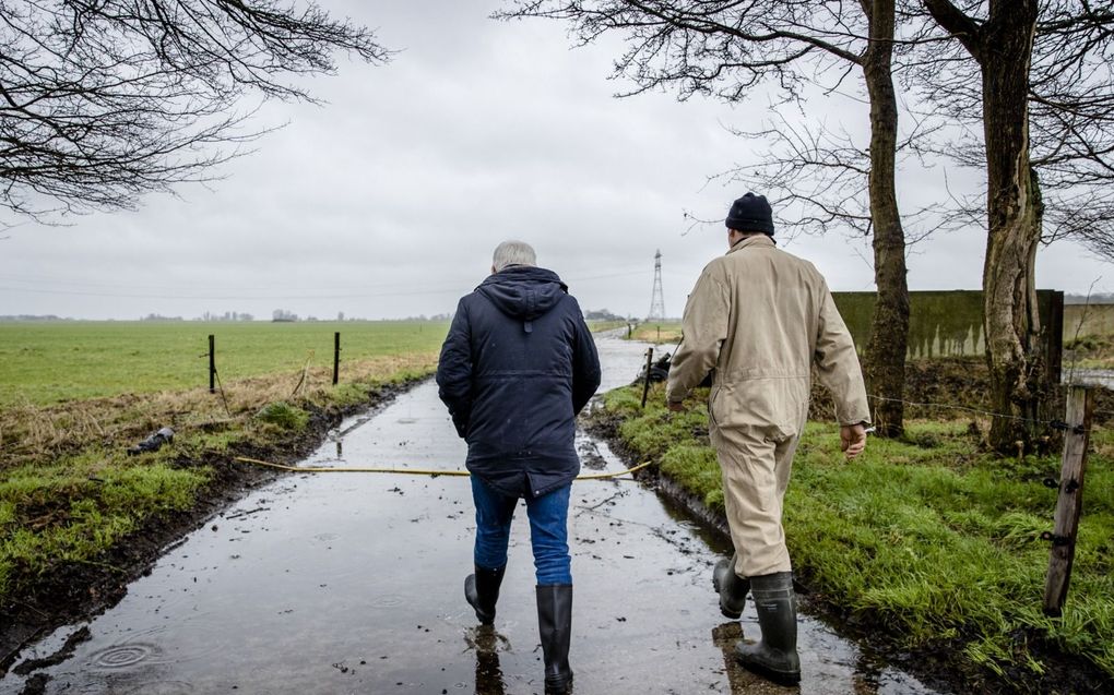 „De vraag is hoe je rendabel kunt boeren op een nattere en koudere grond.” beeld ANP, Sem van der Wal