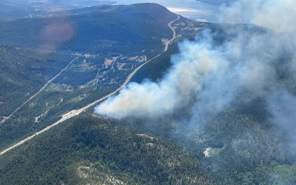 Bosbrand in Peachland, British Columbia. beeld AFP, BC Wildfire Service