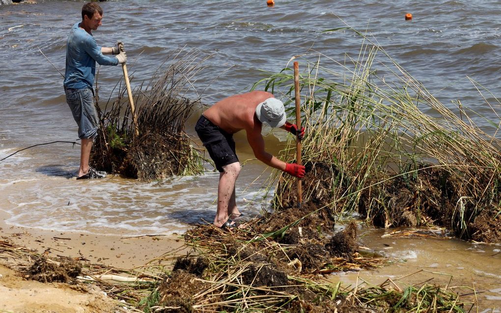 Gemeentewerkers ruimen struikgewas, puin en afval op dat door het overstromingswater is meegevoerd naar de stranden van Odesa na schade aan de dam van de waterkrachtcentrale Kakhovka. beeld AFP, Oleksandr Gimanov