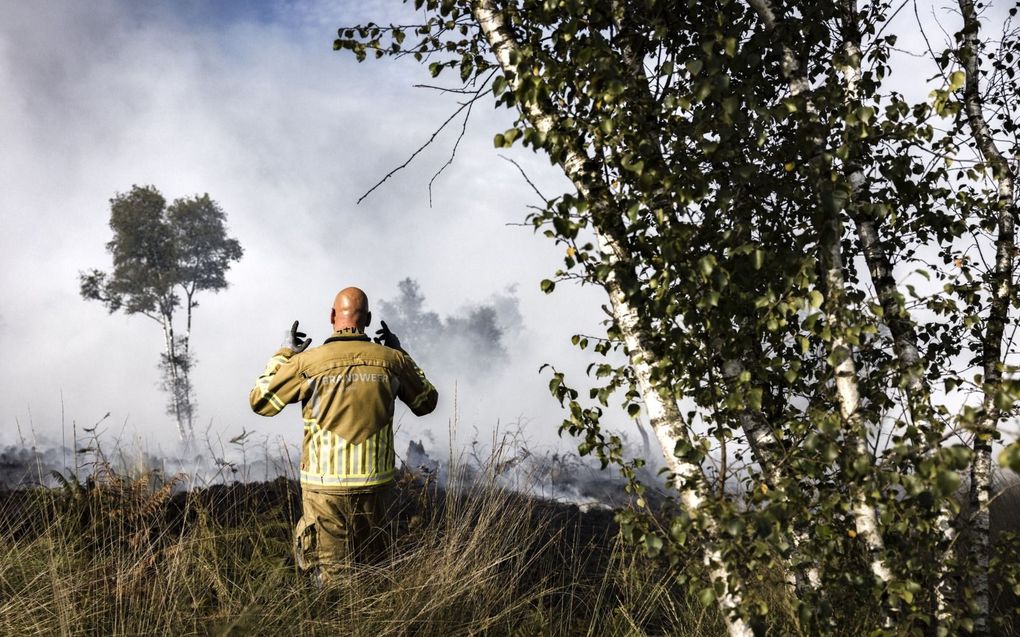 Grote brand in natuurgebied De Peel, vorig jaar augustus. beeld ANP, Rob Engelaar