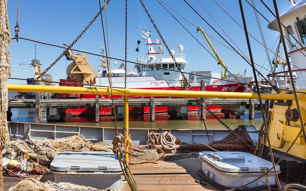 Noordzeekotters uit Urk, een van de dorpen die zwaar getroffen worden door de krimp van de vissersvloot. beeld RD, Henk Visscher