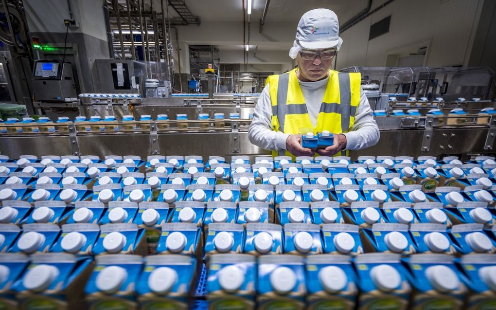 Productielijn in een fabriek van FrieslandCampina. beeld ANP, Lex van Lieshout