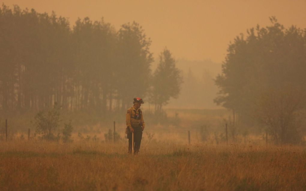 Een brandweerman in Alberta (Canada). beeld EPA