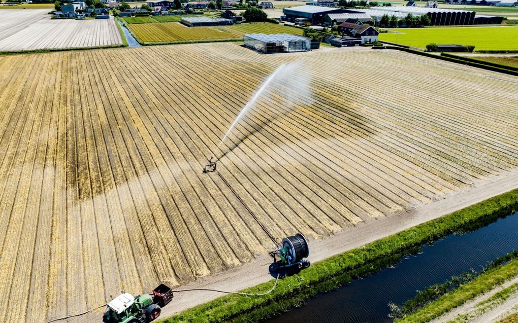 Een boer in Lisse sproeide vorige week zijn akkers met water uit de sloot. Waterschappen proberen de regen die valt langer vast te houden.  beeld Hollandse Hoogte, Robin Utrecht