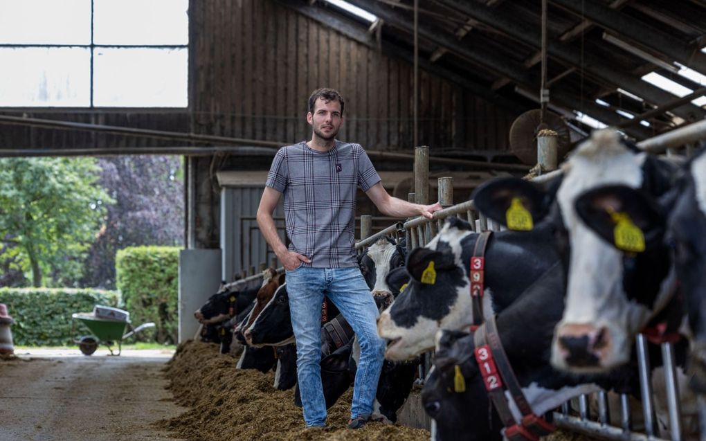 Melkveehouder Harold Overmars vindt het „ontzettend jammer” dat het landbouwakkoord is geklapt. „Nu staan we aan de zijlijn”, zegt de boer, die zeven maanden namens jongeboerenorganisatie NAJK aan de onderhandelingstafel zat. beeld Freddy Schinkel