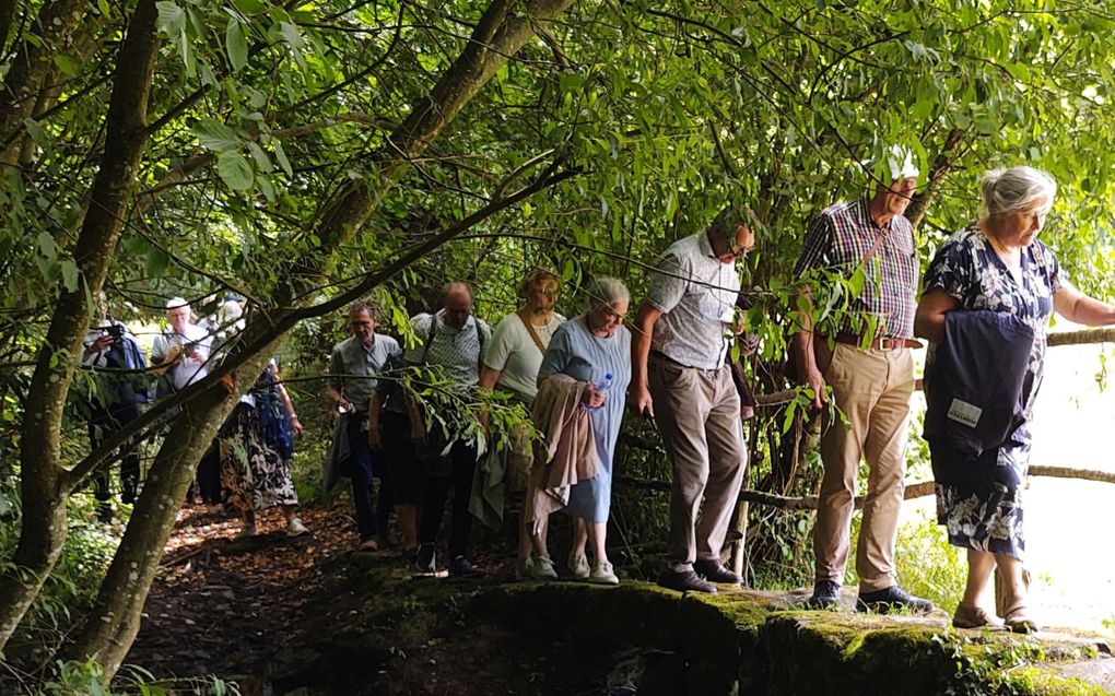 Sluipend door de bossen. beeld Wim Eradus