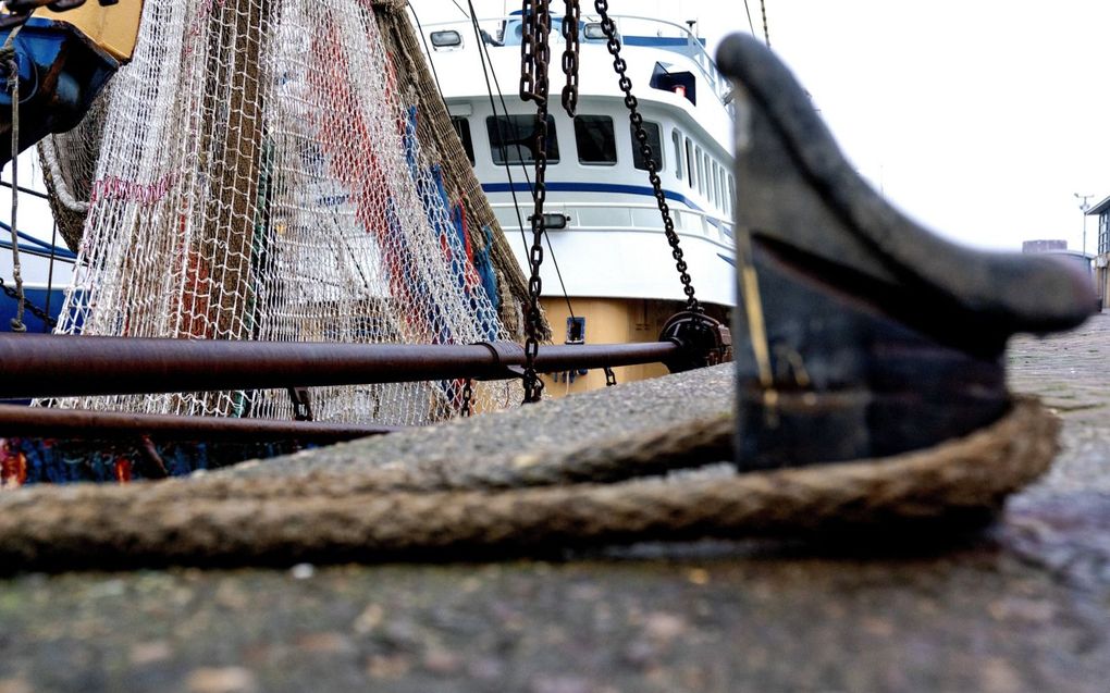 Kotter in de haven van IJmuiden. Nederlandse vissers vangen al jaren minder tong dan hun quota toestaan. beeld ANP, Sander Koning