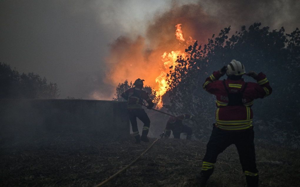 beeld AFP, Patricia de Melo Moreira