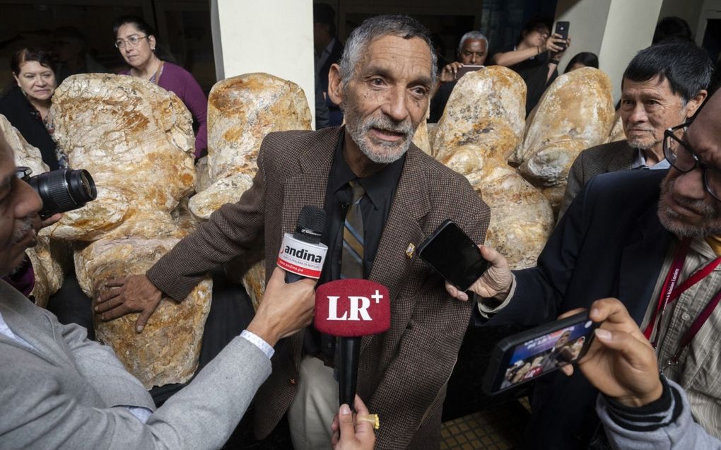 De Peruaanse paleontoloog Mario Urbina bij de gefossiliseerde ruggengraat van de oerwalvis. beeld AFP, Cris Bouroncle