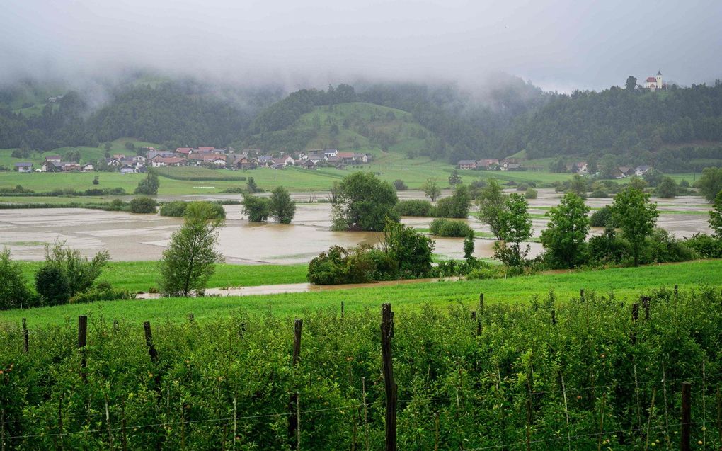 beeld AFP, Jure Makovec