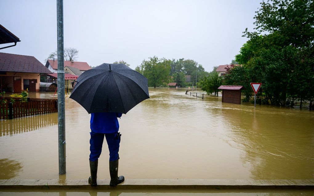 Een man kijkt naar ondergelopen huizen in het zuidoosten van Slovenie. beeld AFP, Jure Makovec