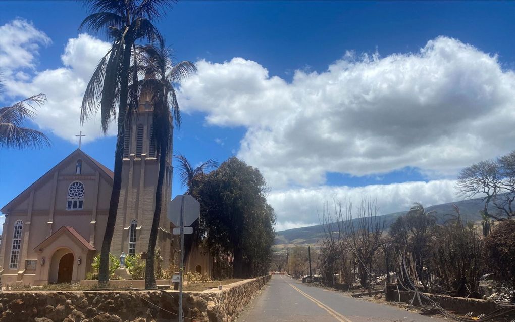 De rooms-katholieke Maria Lanakilakerk in Lahaina, op het Hawaïaans eiland Maui. De huizen rond de kerk werden de afgelopen dagen verwoest door bosbranden. beeld AFP, Paula Ramon