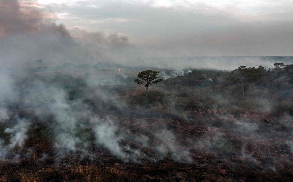 beeld AFP, Carl de Souza