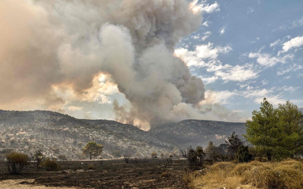 Bosbranden ten noorden van Athene. beeld AFP, Spyros Bakalis