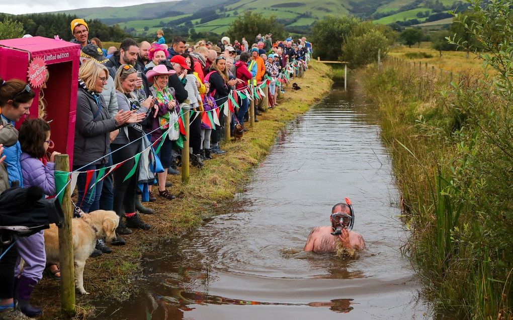 Snorkelcompetitie in Wales. De race wordt gehouden in een geul van 55 meter, snorkel en zwemvliezen zijn verplicht. Beeld AFP, Geoff Caddick