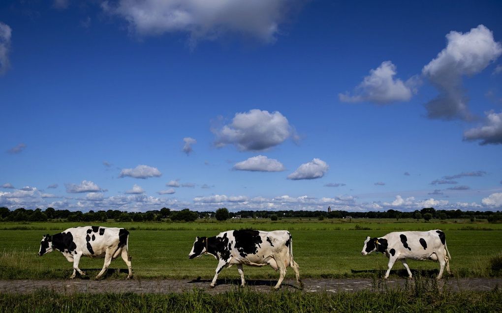 beeld ANP, Robin van Lonkhuijsen