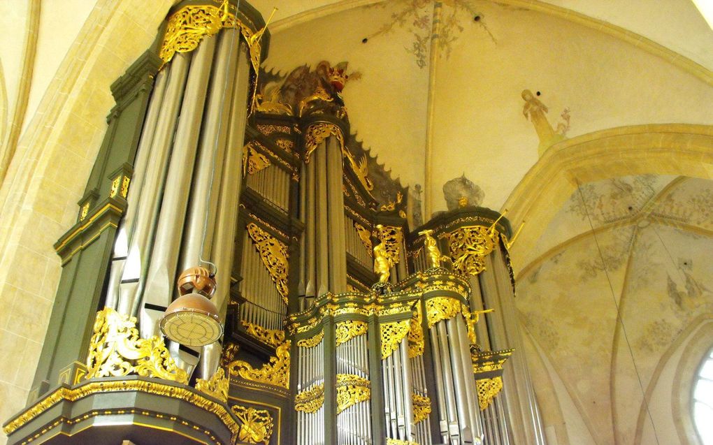 Het hoofdorgel van de Martinikerk in Groningen. beeld Adriaan van Oost