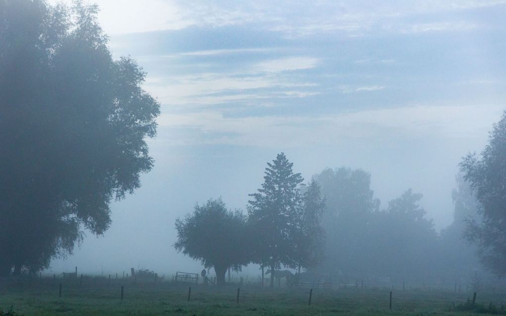 Landschap bij Nijbroek in ochtendnevel. beeld RD, Anton Dommerholt