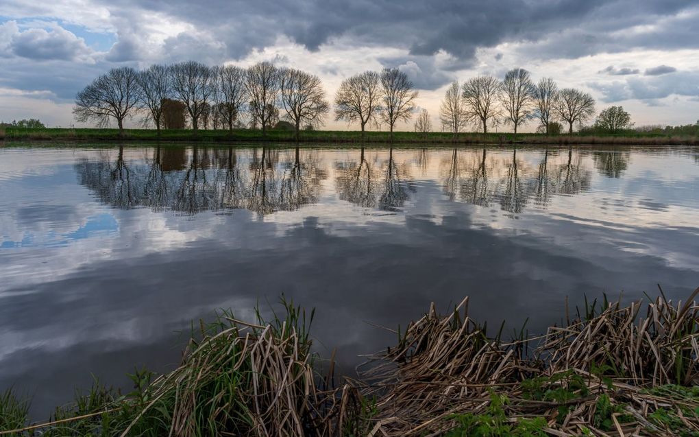 Natuurgebied Gat van den Ham in het gebied van waterschap Brabantse Delta, een van de vier Brabantse waterschappen die oproepen tot maatregelen voor betere waterkwaliteit. beeld ANP, Eugene Winthagen