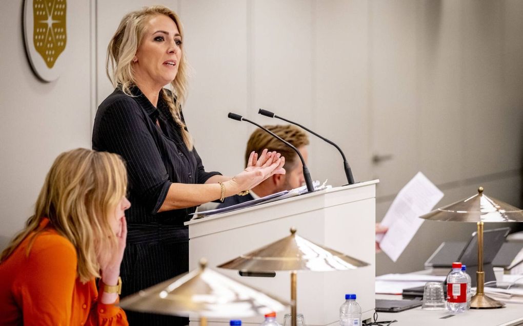 Lilian Marijnissen, fractievoorzitter van de SP in de Tweede Kamer, verdedigt in de Eerste Kamer haar initiatiefwetsvoorstel voor de invoering van een correctief referendum. beeld Eerste Kamer, Robin Utrecht