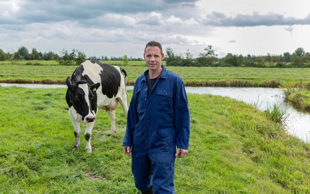 Tientallen melkkoeien van André van Herk zijn ziek door blauwtong. Een kwart van zijn schapen –op zijn bedrijf een kleine neventak– is doodgegaan. beeld Erik Kottier